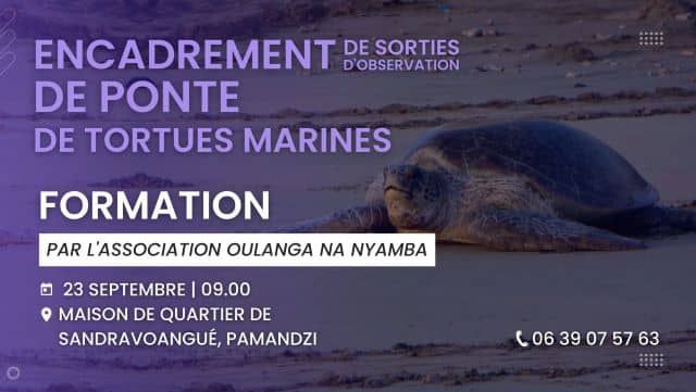 Formation bénévole "encadrer les sorties d'observation de ponte de tortue marine"